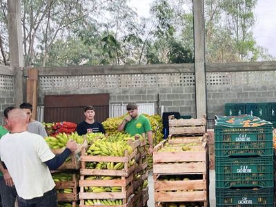 Pequeno agricultor expande fronteiras com cooperativa