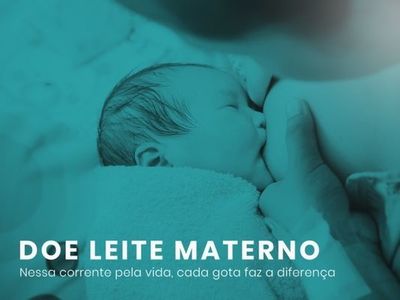 Doao de leite materno: entenda a importncia desse alimento